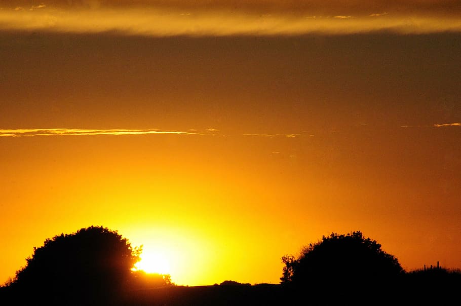 sunset, field, farm, horizon, tree, sky, silhouette, beauty in nature HD wallpaper