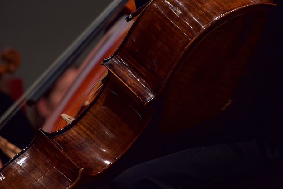 Cello, Musical Instrument, wood - material, brown, musical instrument string HD wallpaper
