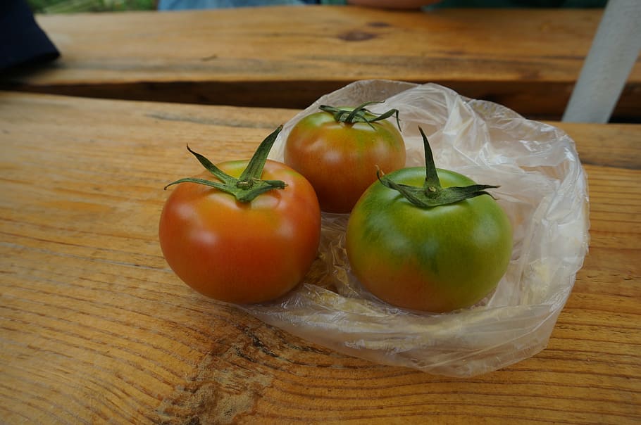 fruit, fresh tomatoes, red, health, food, vegetable, freshness HD wallpaper