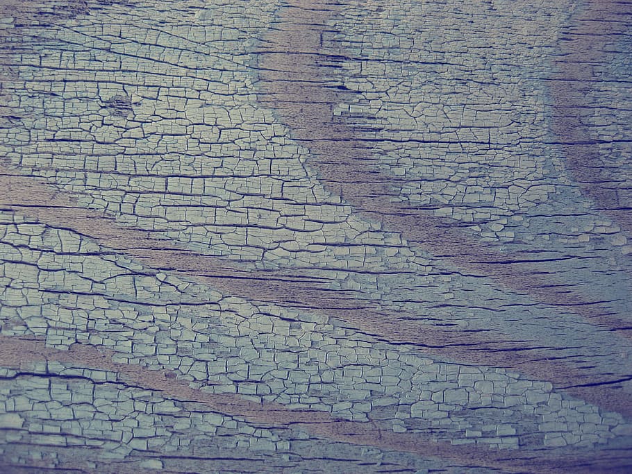 tree, texture, closeup, wood texture, rough, lumber, natural texture HD wallpaper