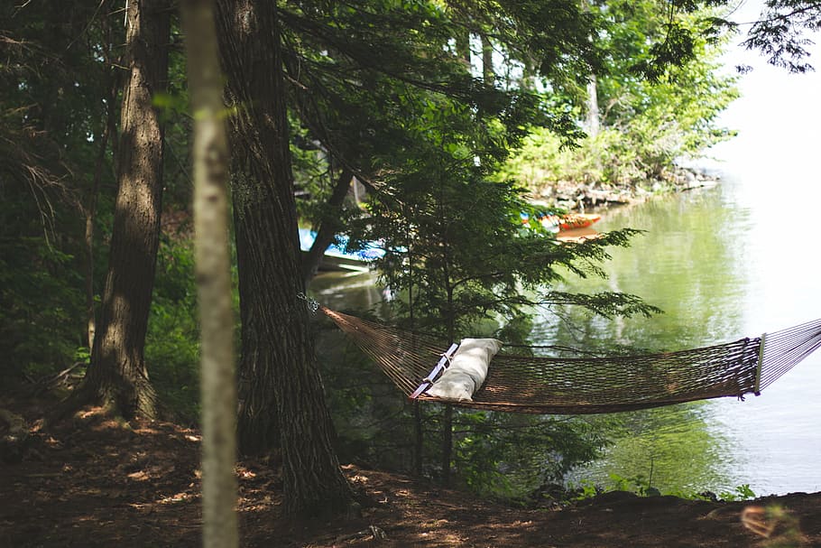 hammock, lake, nature, trees, water, royalty  images, outdoors HD wallpaper
