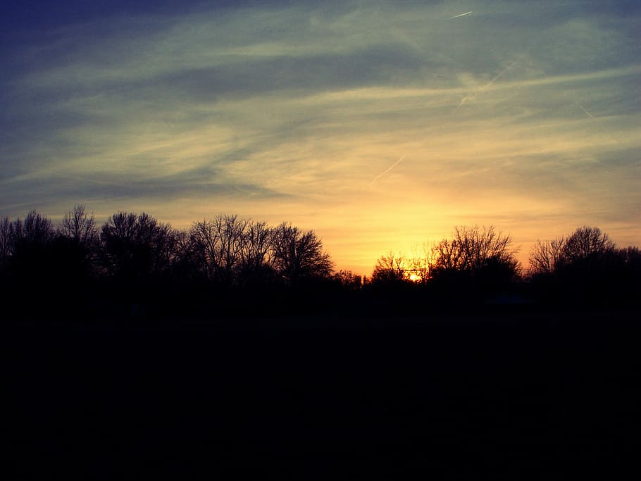 sunset, winter, nature, landscape, sky, outdoor, tree, evening HD wallpaper
