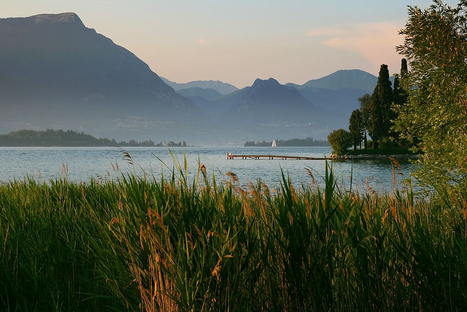 lake behind grass field during daytime, body of water surrounded by green grass near mountain at daytime HD wallpaper