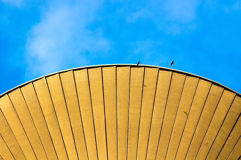 yellow oil umbrella under blue sky, two bird flying above the building, HD wallpaper