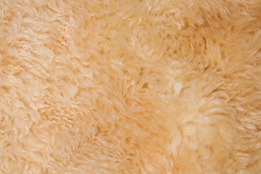 fur, structure, fund, sheepskin, lambskin, use, coat finishing, HD wallpaper