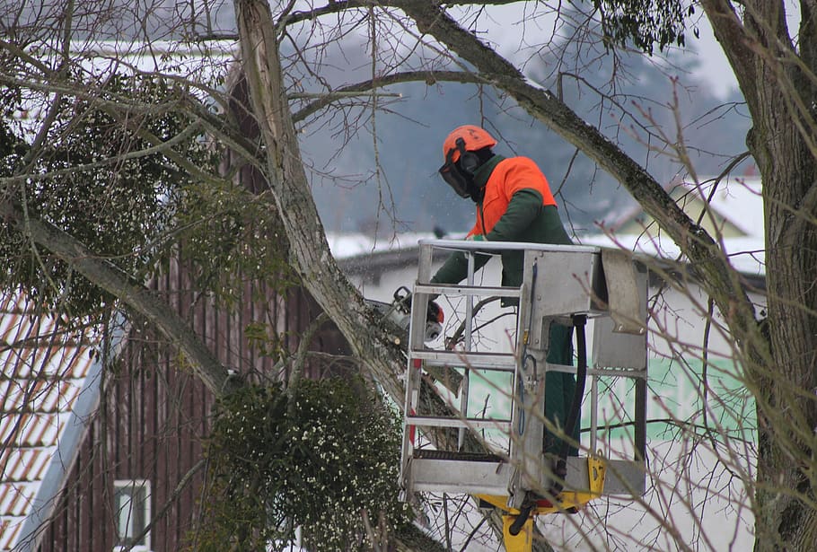 tree pruning, cut, saw, wood, tool, sharp, equipment, machine HD wallpaper