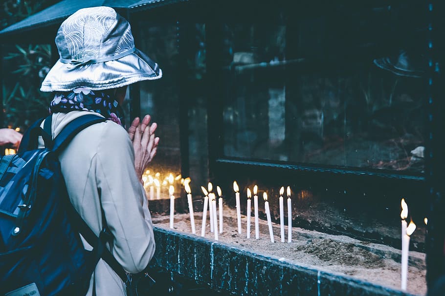 person in front of shrine praying at the moment, people, women HD wallpaper
