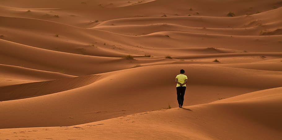 man standing on desert, dunes, sand, red, africa, morocco, sahara HD wallpaper