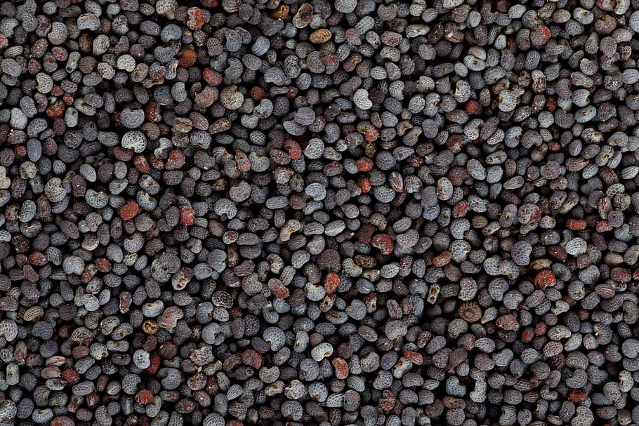 assorted color stones, background, black, detail, food, grains, HD wallpaper