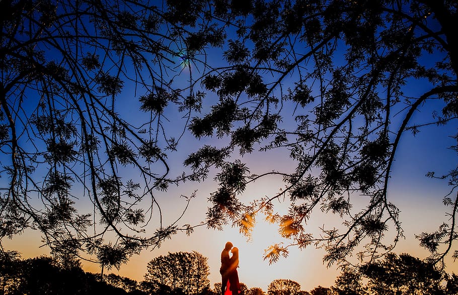 silhouette, sunny, sunrise, sunset, couple, sweet, trees, leaves, HD wallpaper