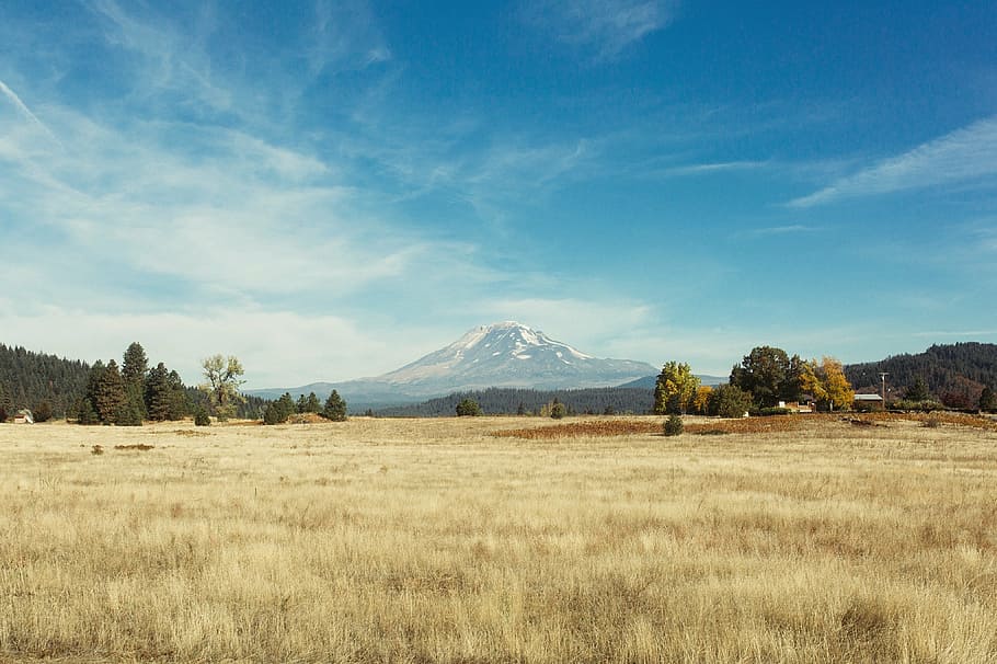 green leaf tree near mountain, volcano, view, distant, ladscape HD wallpaper