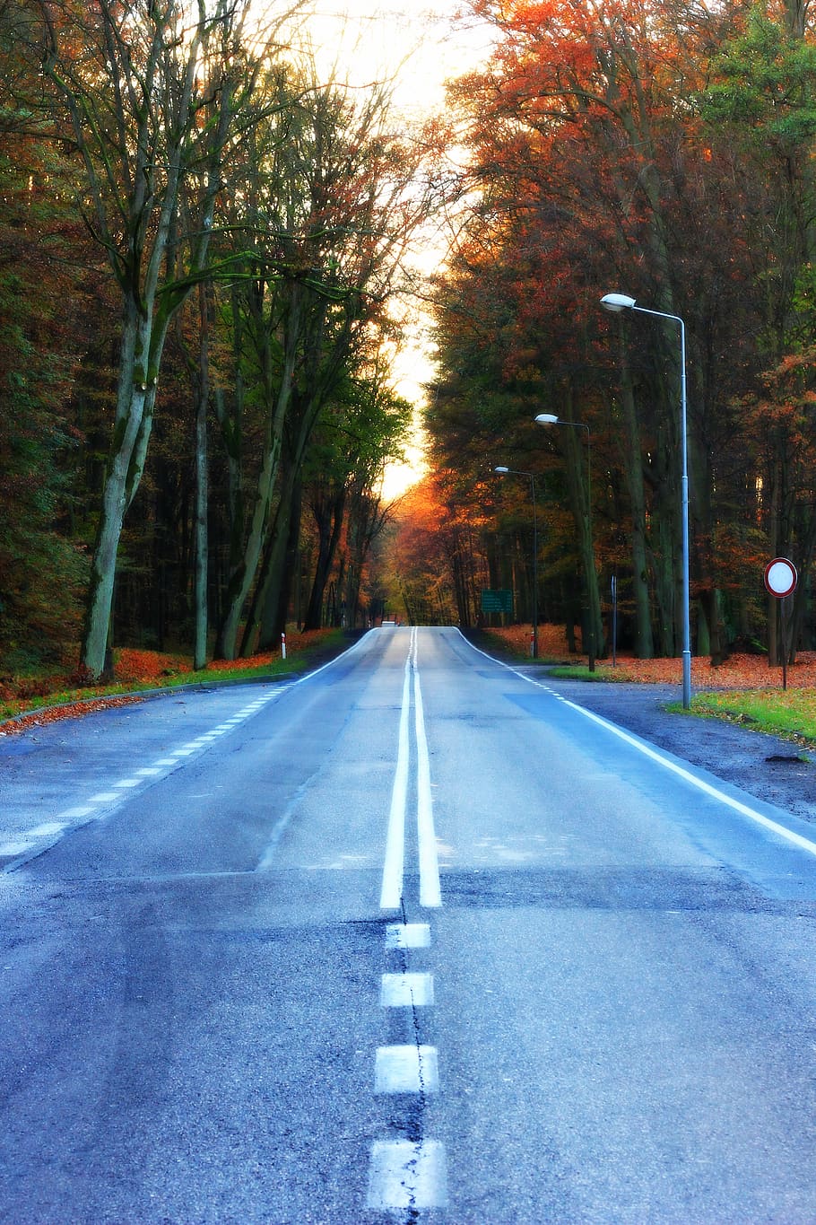 way-autumn-west.jpg