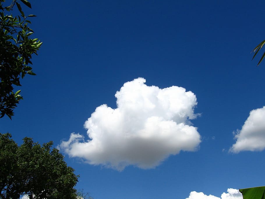 clouds, sky, blue, weather, climate, rain, cumulus, atmosphere HD wallpaper