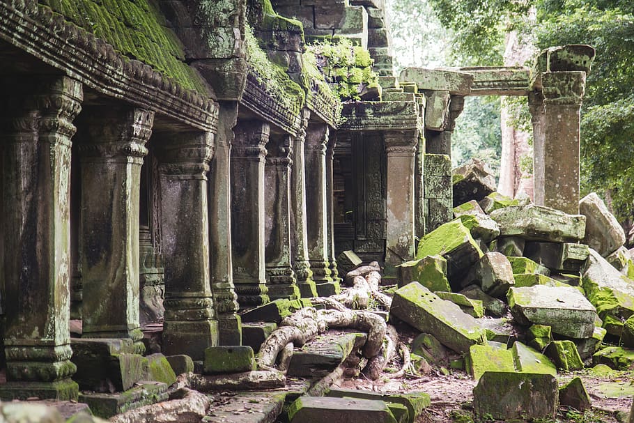 Hd Wallpaper Temple Ruins In The Jungle Of Cambodia Gray Concrete Posts Building Wallpaper Flare