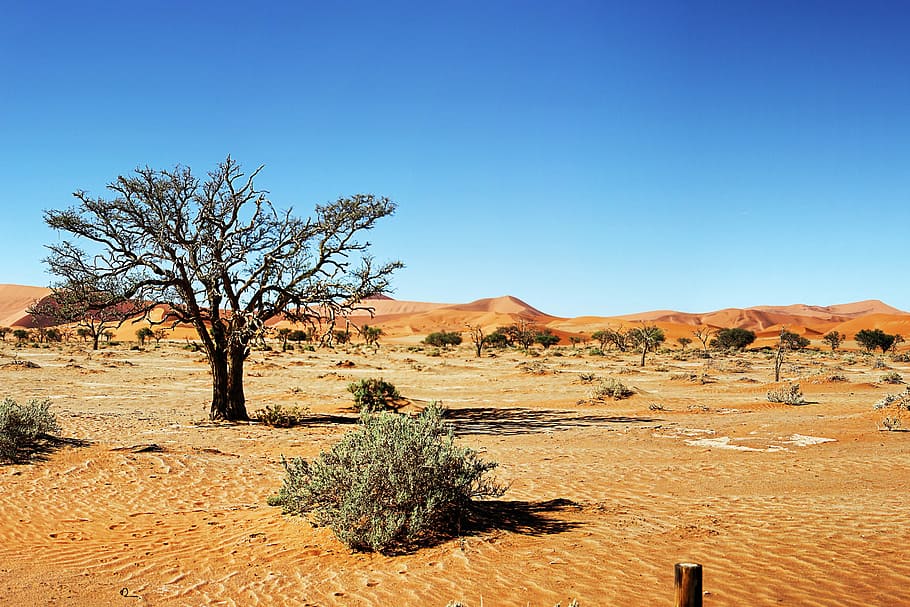 Desert, Namibia, Sand Dune, dunes, sossusvlei, nature, desert landscape HD wallpaper