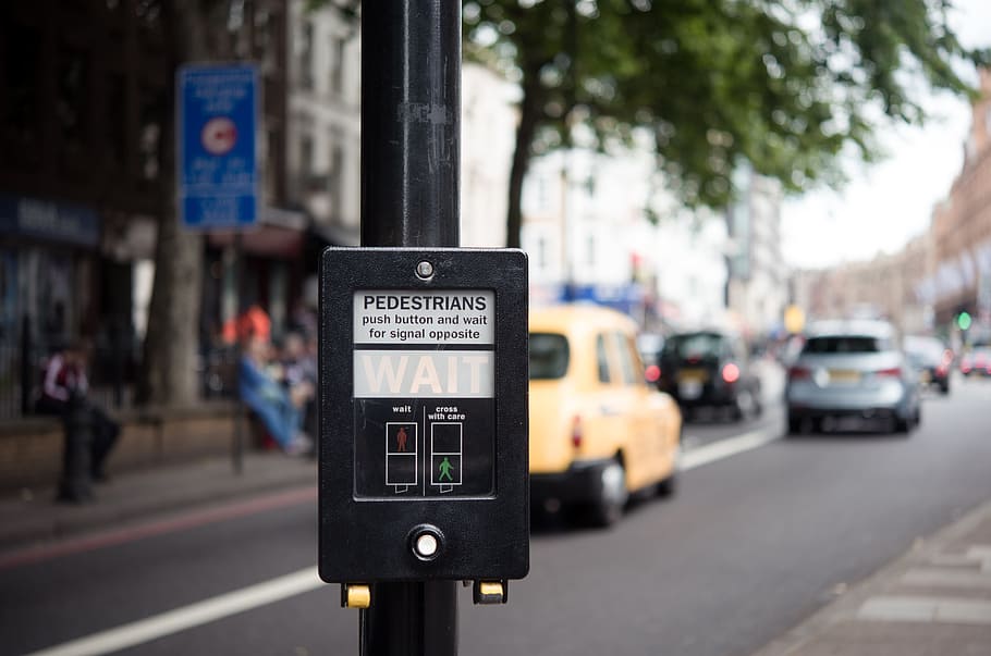 pedestrian signage displaying wait, turned on black pedestrian parking meter HD wallpaper