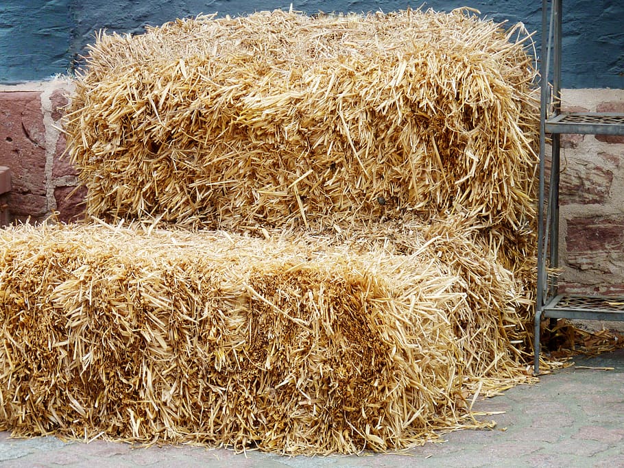 hay, hay bales, summer, field, harvest, agriculture, landscape