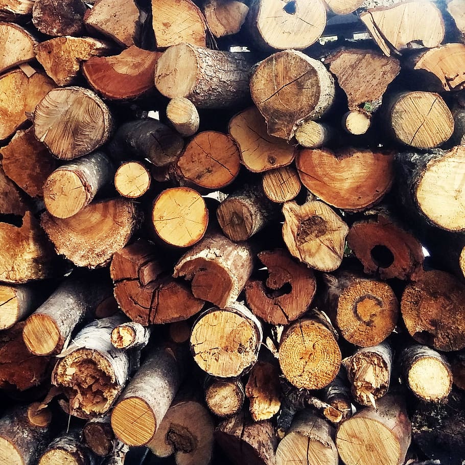 wood, logs, lumber, texture, pattern, timber, lumber industry HD wallpaper