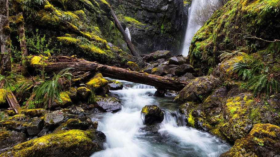 Waterfall River Photo Shot, cascade, creek, daylight, environment HD wallpaper