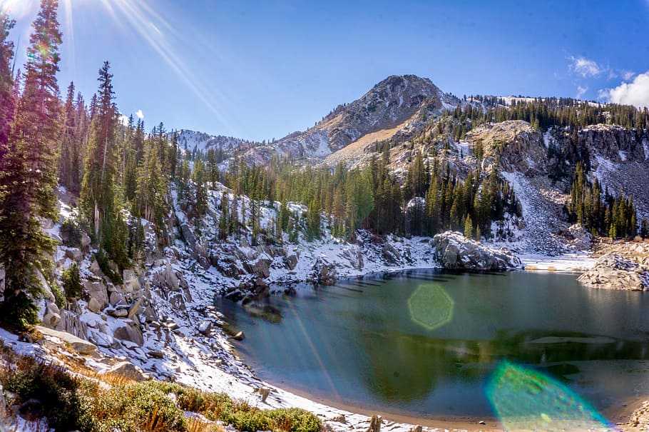 lake, water, coast, trees, plants, nature, snow, winter, sunlight HD wallpaper
