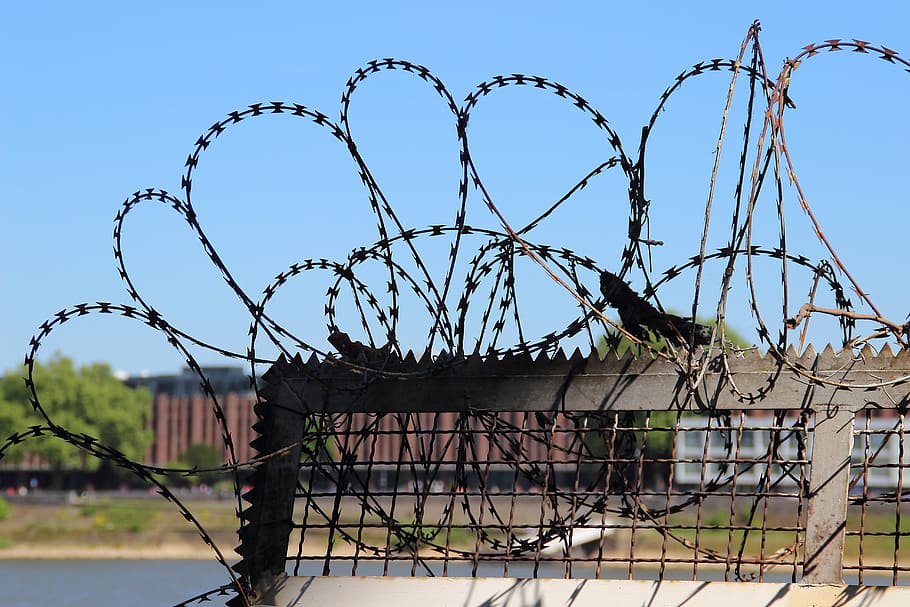 Barbed Wire, Fence, Freedom, Captivity, metal, prison, border HD wallpaper