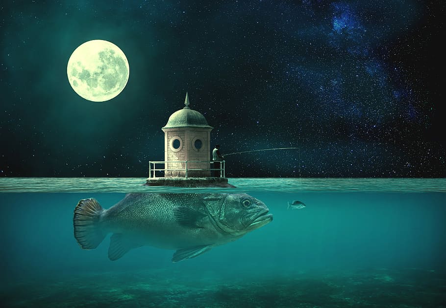 silver fish carrying white house with man fishing painting HD wallpaper