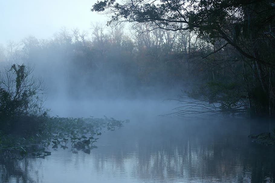 lake in a foggy morning weather, water, nature, landscape, river HD wallpaper