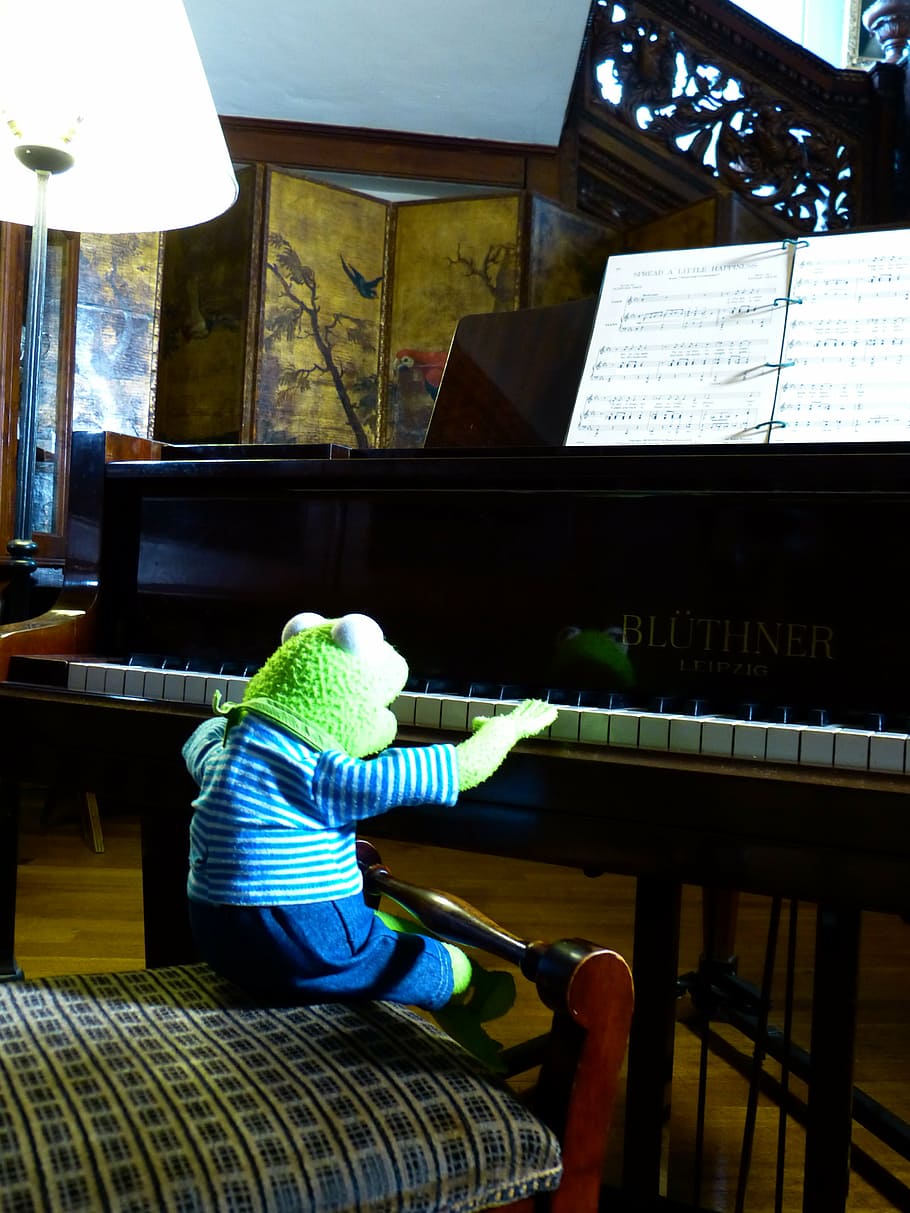 kermit, frog, piano, play, exercise, musician, pianist, concert HD wallpaper
