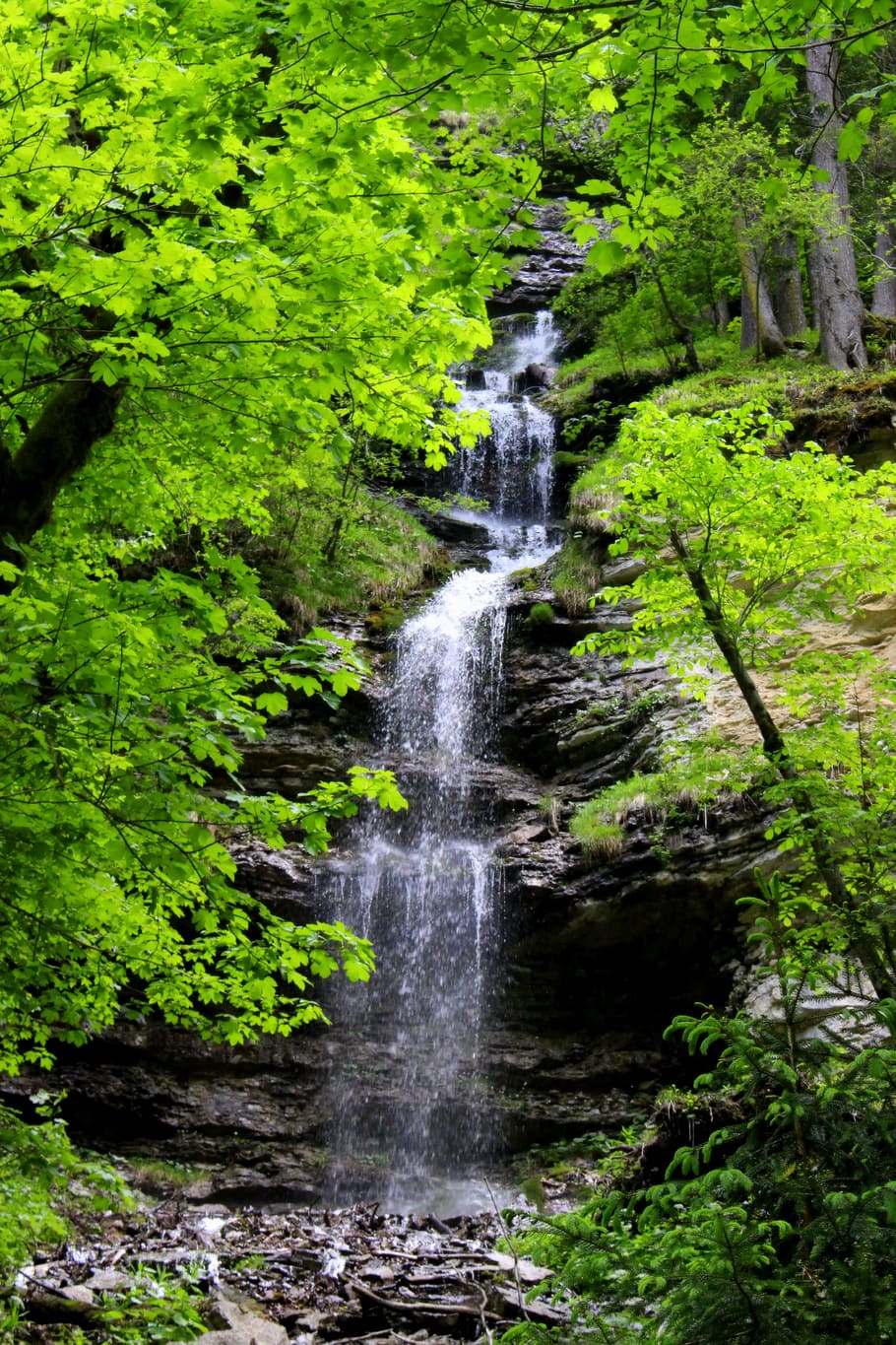Waterfall, Forest, Nature, Landscape, rock, bach, waterfalls HD wallpaper
