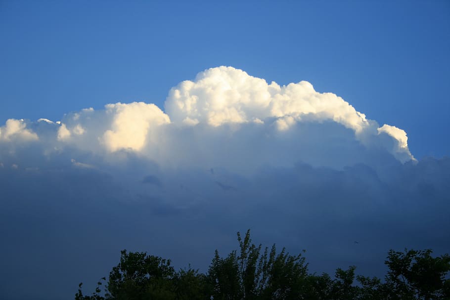 clouds, cumulus, white, large, heavy, shadowed, catching sunlight HD wallpaper
