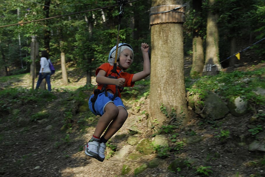 adventure park, pulley, cable, fun, full length, tree, plant HD wallpaper