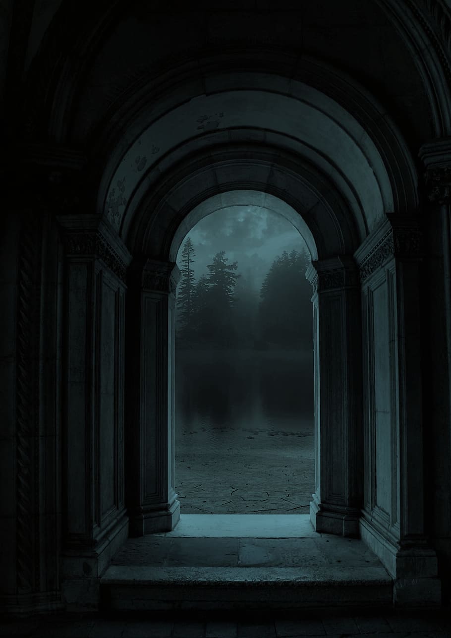 night, dark, trees, foggy, arch, architecture, eerie, mist, built structure HD wallpaper