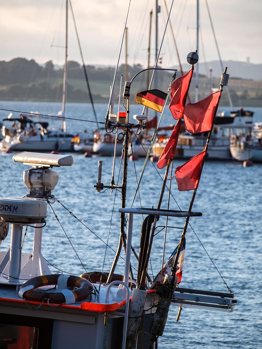 booked, sea, port, boot, cutter, flags, reed, fishing, signalflag HD wallpaper