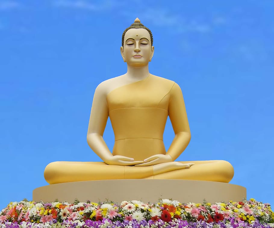 Dyhana Mudra statue surrounded with flowers, buddha, yoga, meditate, HD wallpaper