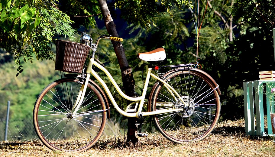 Bicycle, Old, Communion, transportation, tree, wheel, cultures HD wallpaper