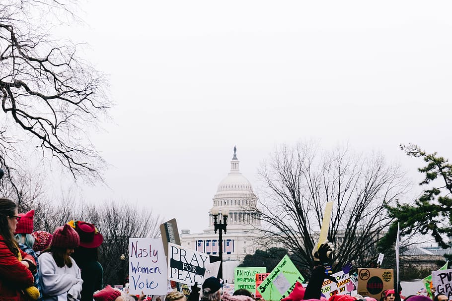 crown standing near The White House at daytime, U.S. Capitol, Washington HD wallpaper