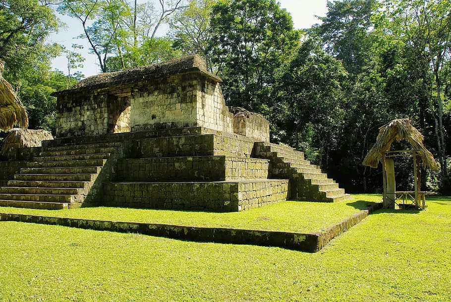 guatemala, ceibal, maya, pyramid, sayaxche, rainforest, ruins HD wallpaper