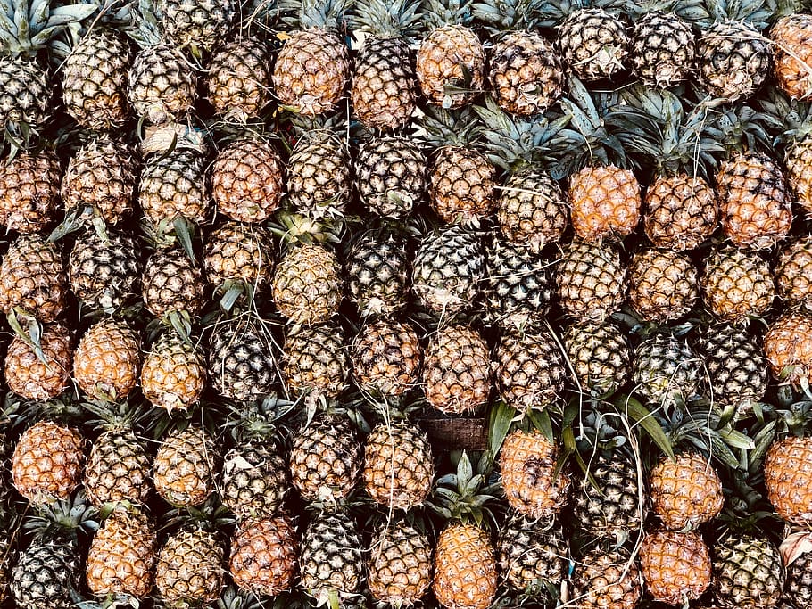 pile of pineapple fruits, pineapple lot, pattern, tropical, spine HD wallpaper