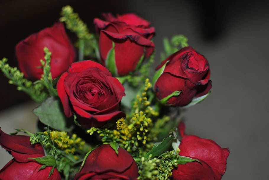 bundle of red rose flowers, green, love, decoration, bunch HD wallpaper