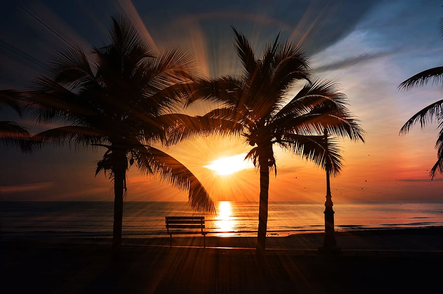 bench, sea, dawn, landscape, beach, beach sunset, clouds, coast HD wallpaper