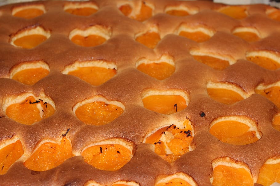 delicious, fast, plastered, food, food and drink, baked, freshness HD wallpaper