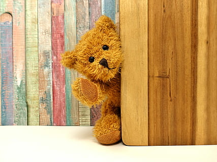 brown bear plush toy, teddy, teddy bear, soft toy, bears, stuffed animals HD wallpaper