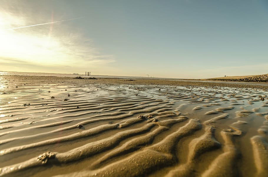 desert under gray sky at daytime, beach, winter, ebb, north sea HD wallpaper
