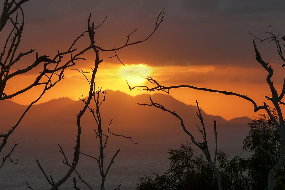 mountains during golden hour, glowing, red, sunset, branches HD wallpaper