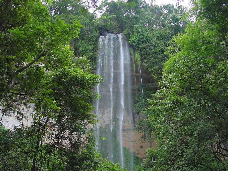 waterfalls, nature, cascade, tourism, guinea, kindia, bridal veil falls