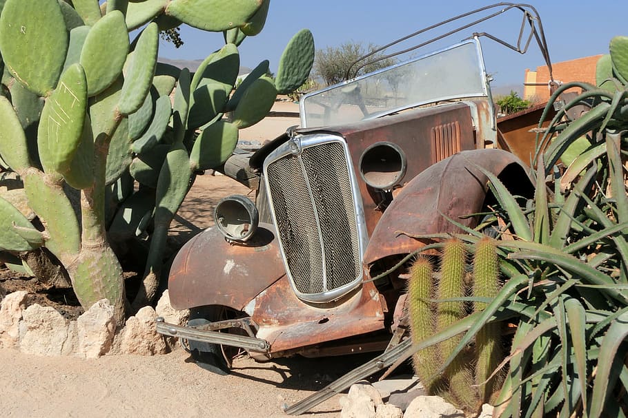 auto, wreck, stainless, old, cactus, mode of transportation HD wallpaper