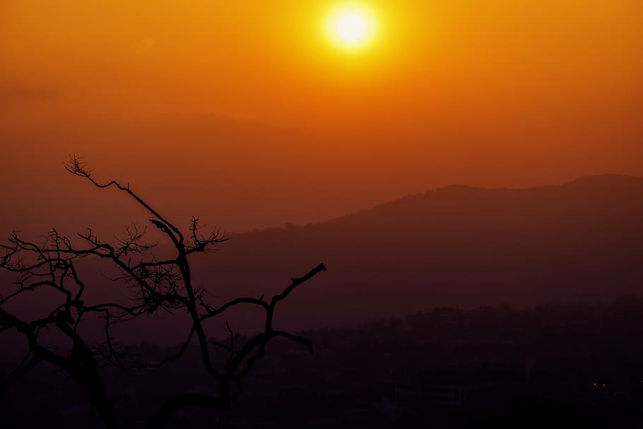 sunset, temple, tree, silhouette, outdoors, nature, night, beauty in nature HD wallpaper