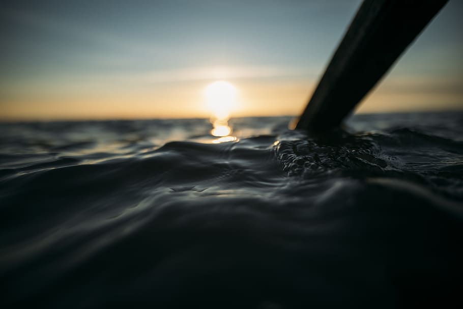 shallow focus photography of body of water, selective focus photography of brown paddle underwater during golden hour HD wallpaper