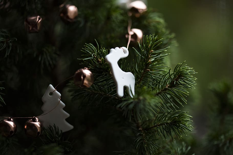 white deer Christmas tree decoration, close up photo of Christmas tree HD wallpaper