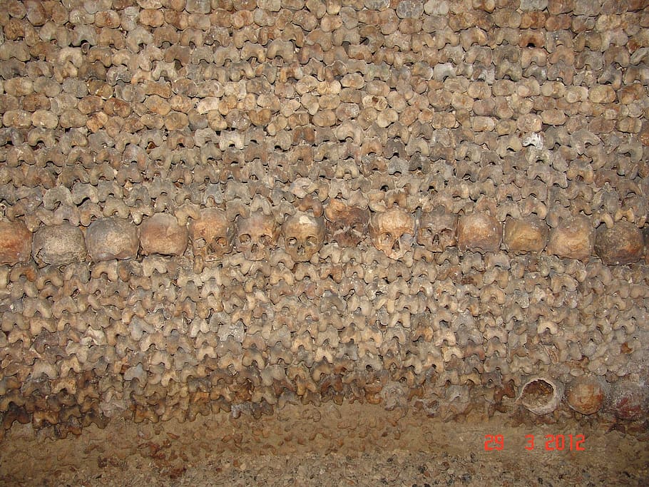 bones, skull, catacomb, wall - building feature, full frame HD wallpaper